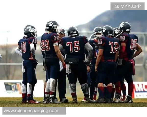 2018年美国足球队明星球员回顾与分析：表现与未来展望