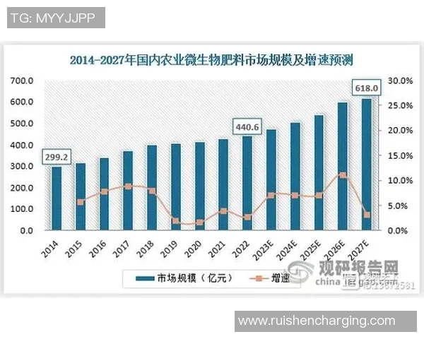 中国足球球星人才盘点及未来发展潜力分析